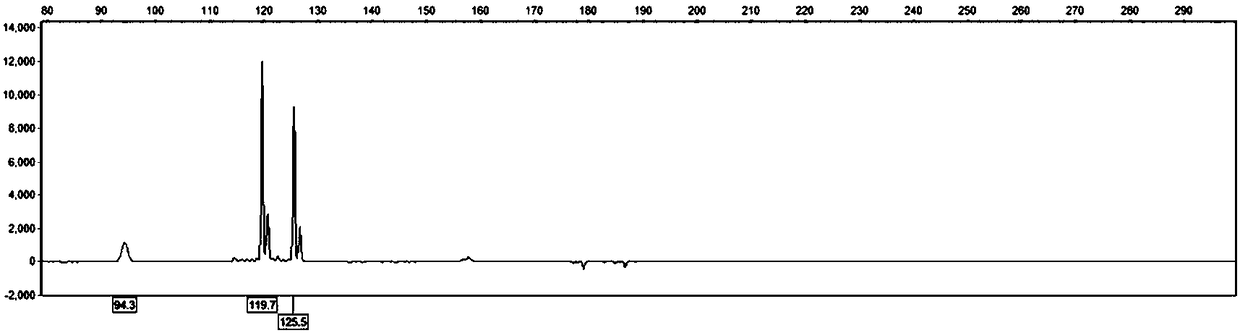 Crested ibis microsatellite polymorphic sites, identification method and specific primer sequences