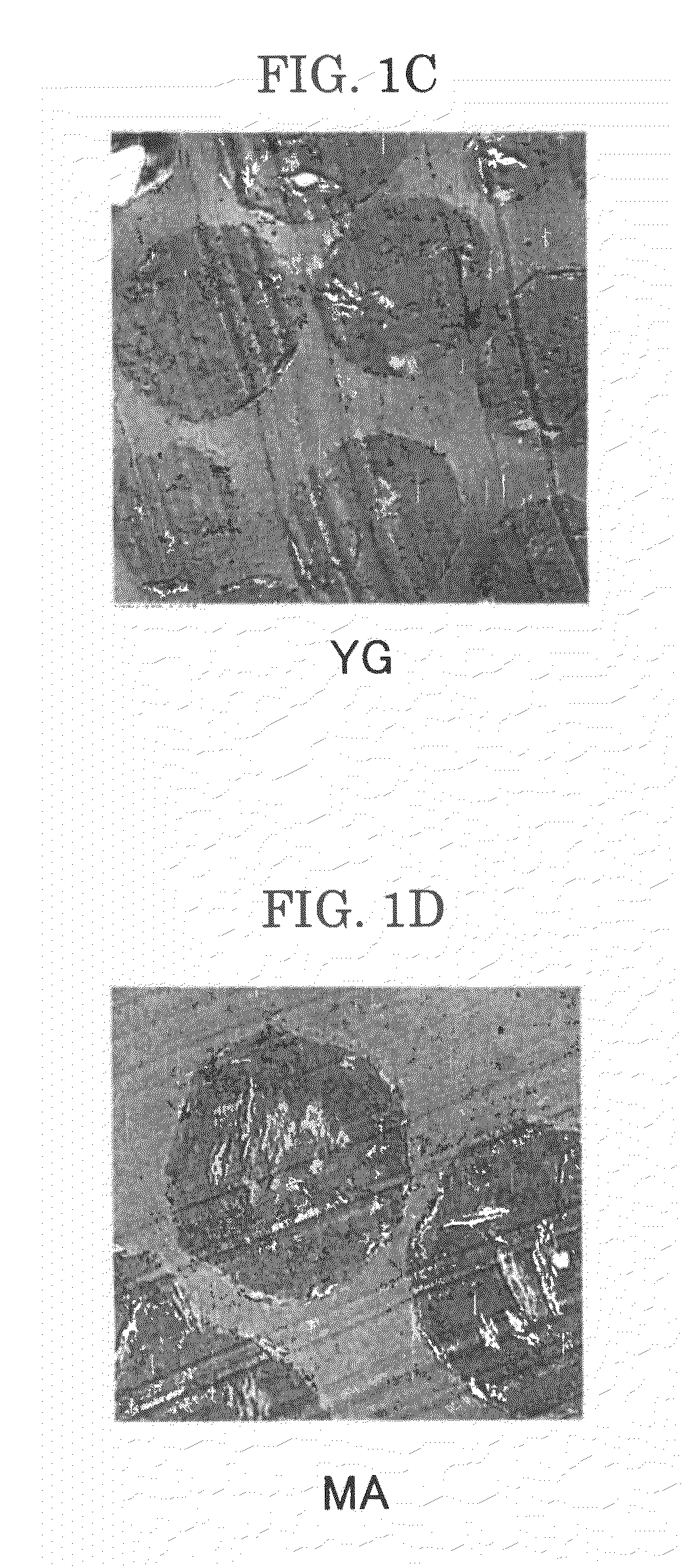 Toner, method for producing the same, and developer