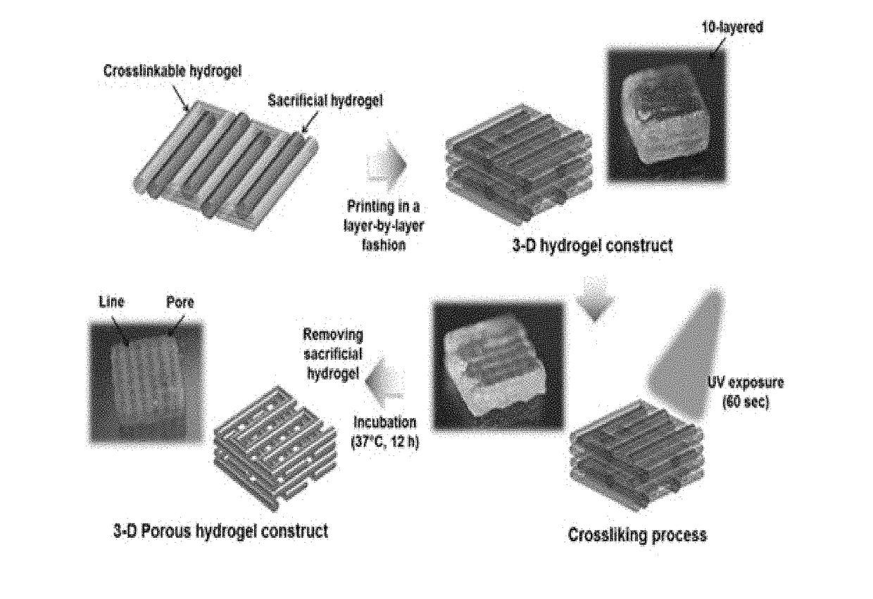 Bio-ink composition having improved physical and biological properties