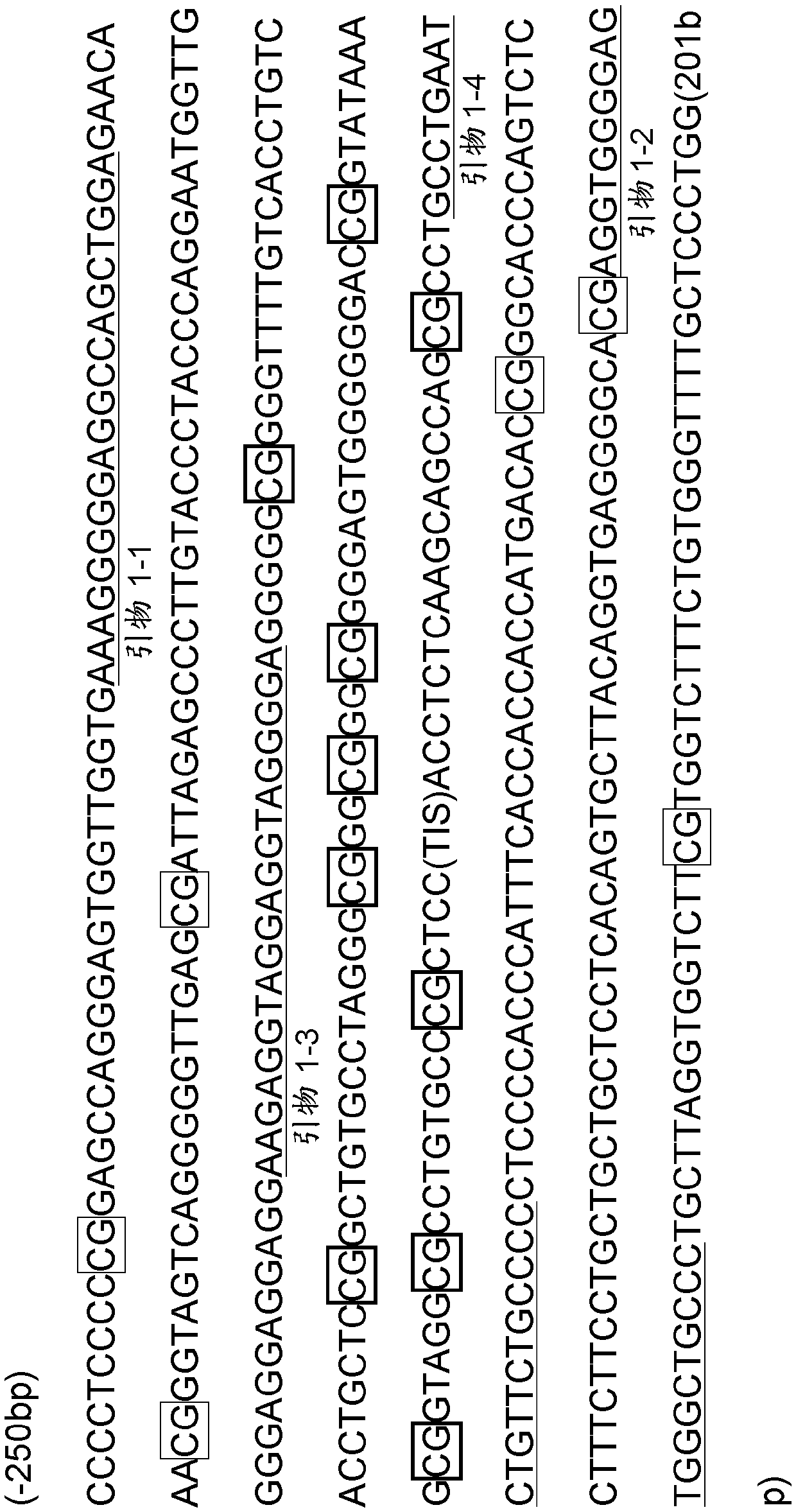 Pathotype Diagnosis Methods of Pancreatic Tumors