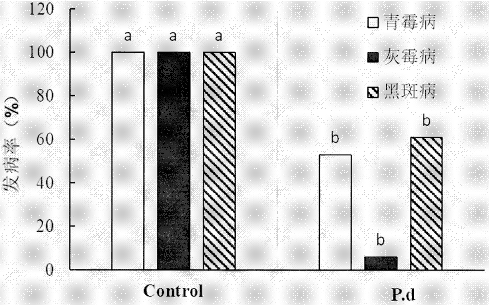 Antagonistic yeast Pichia deserticola and preparation and use method thereof