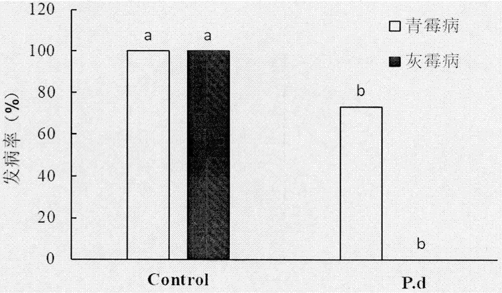 Antagonistic yeast Pichia deserticola and preparation and use method thereof