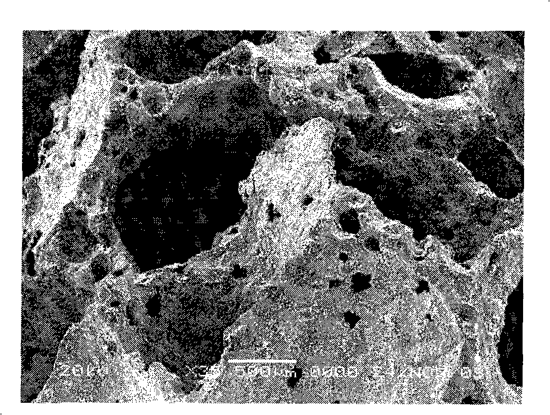 Processing method for phosphor containing wastewater