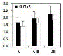 A method for sustainable production of safe late japonica rice on farmland with light to moderate heavy metal pollution in soil