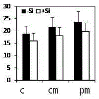 A method for sustainable production of safe late japonica rice on farmland with light to moderate heavy metal pollution in soil