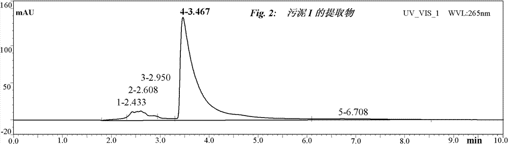 Method for extracting alkaloid by utilizing waste water and sludge of tobaccos