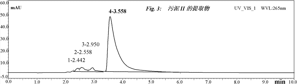 Method for extracting alkaloid by utilizing waste water and sludge of tobaccos