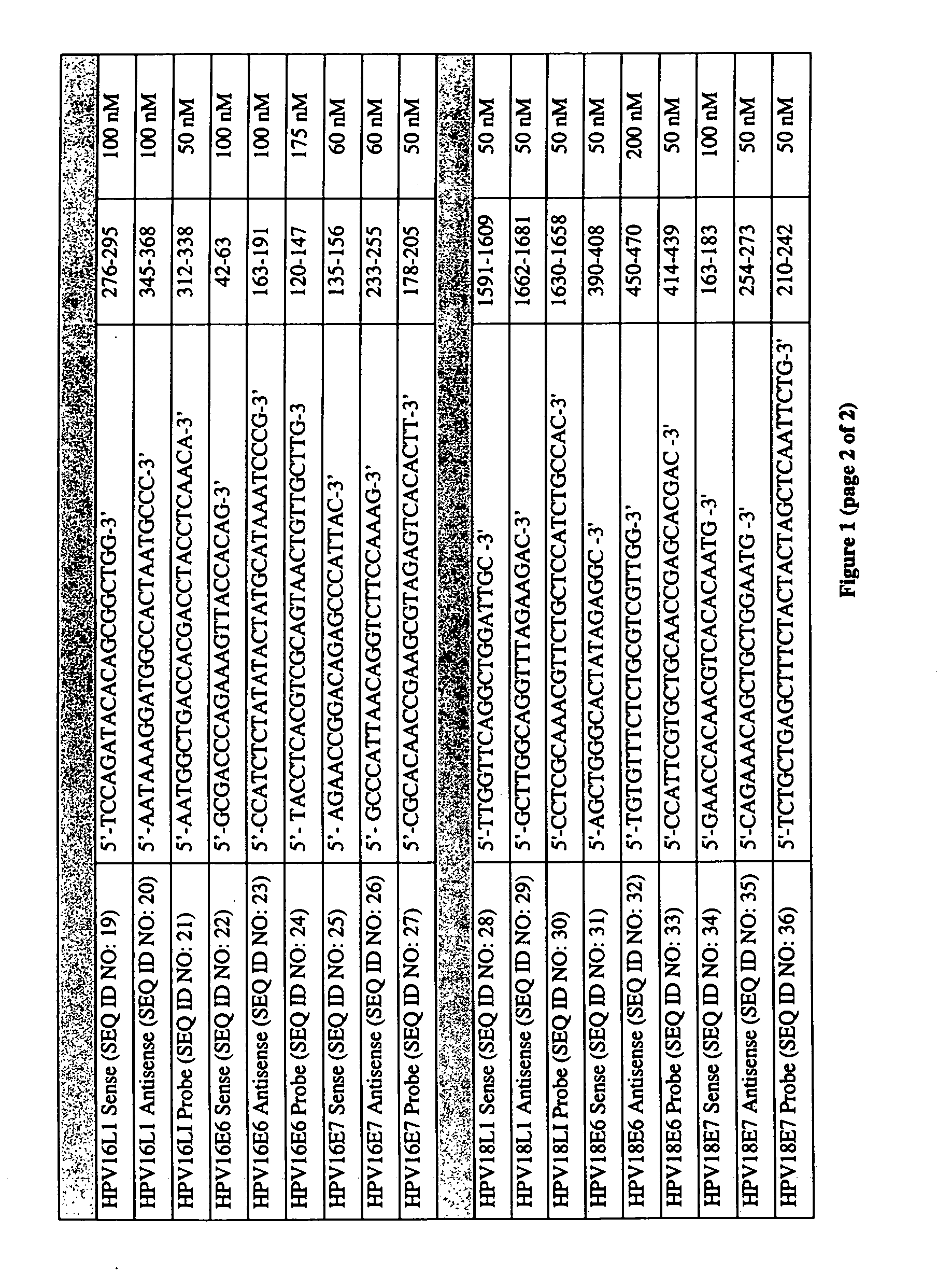 Fluorescent multiplex hpv pcr assays using multiple fluorophores