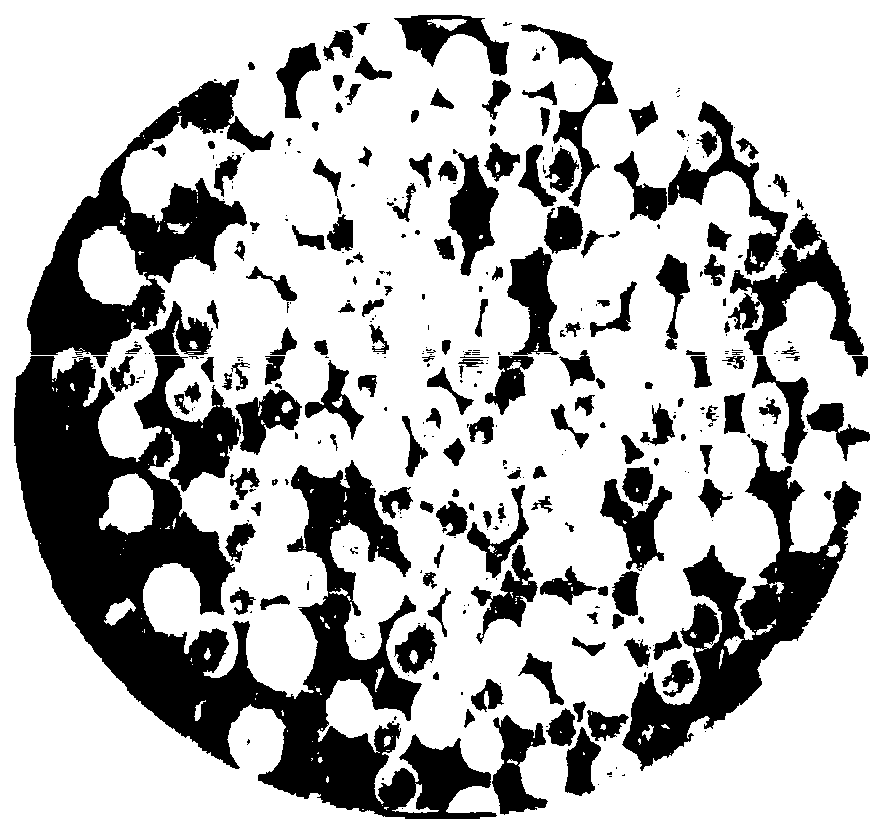 Enteric sodium butyrate microcapsules as well as preparation method and application thereof