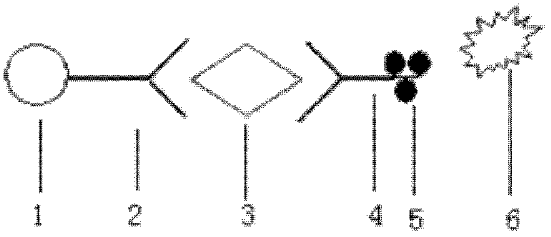 Kit for quantitatively detecting GFAP concentration in human serum by polystyrene microsphere