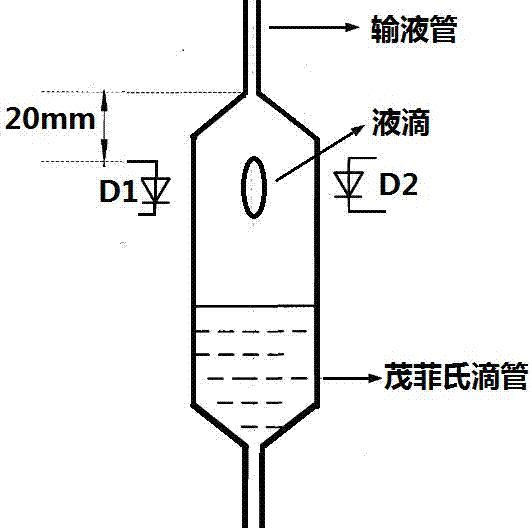 Infusion speed detection method and infusion speed detection device