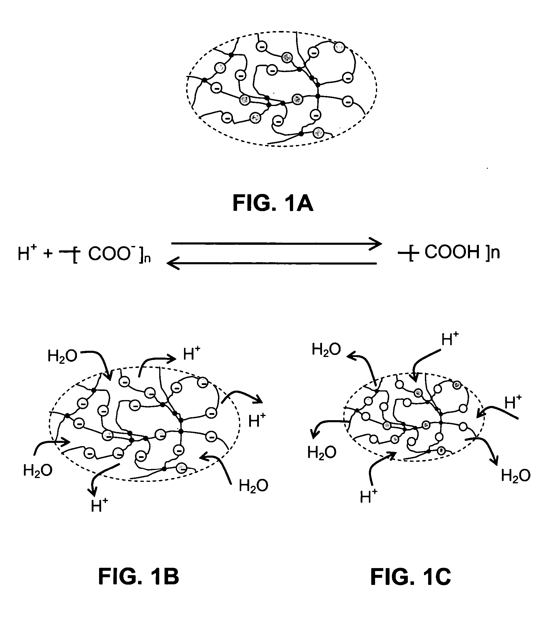 Optical fiber pH sensor