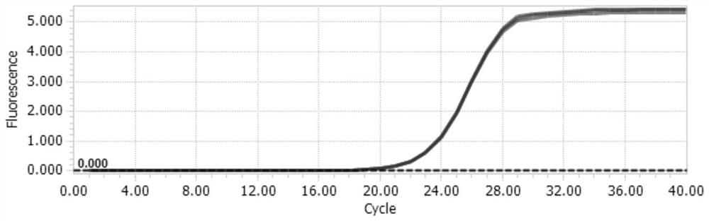 Internal reference gene, primer pair and application of purple cabbage