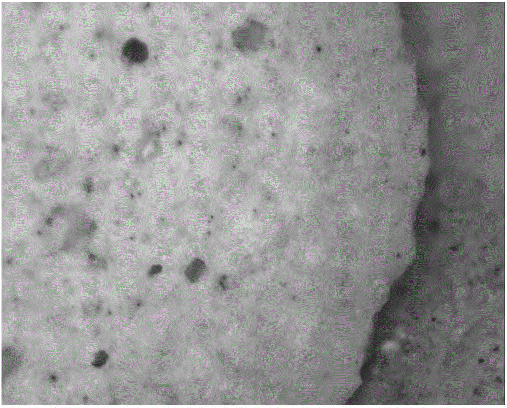 A kind of light-weight ceramsite with zinc nitrate surface aided sintering and preparation method thereof