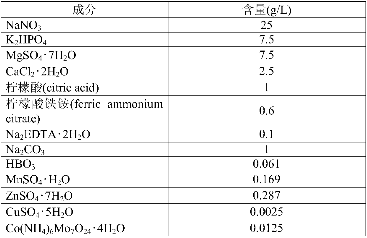 isolated strain of the genus Streptochloa species T9 having high lipid production capacity and the use thereof