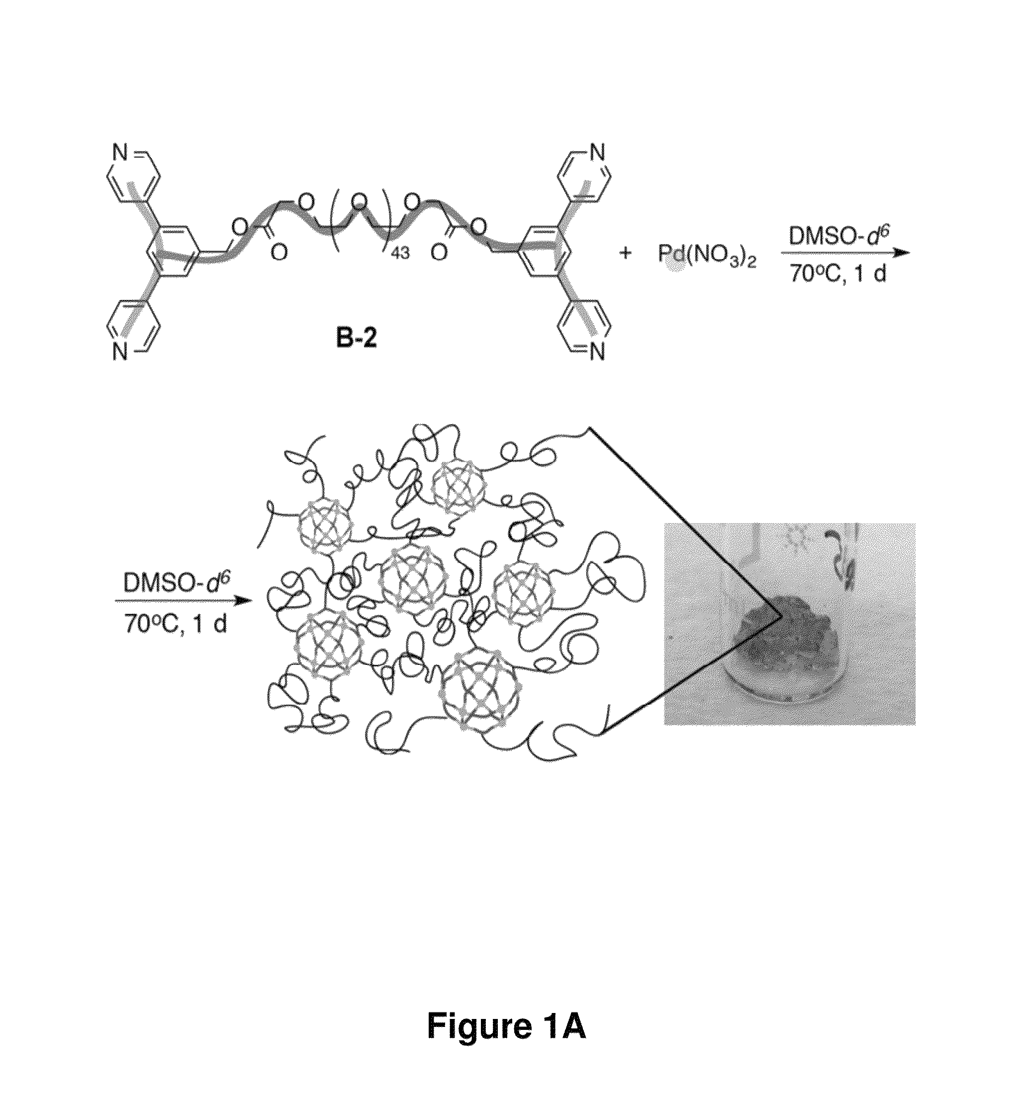 Suprametallogels and uses thereof