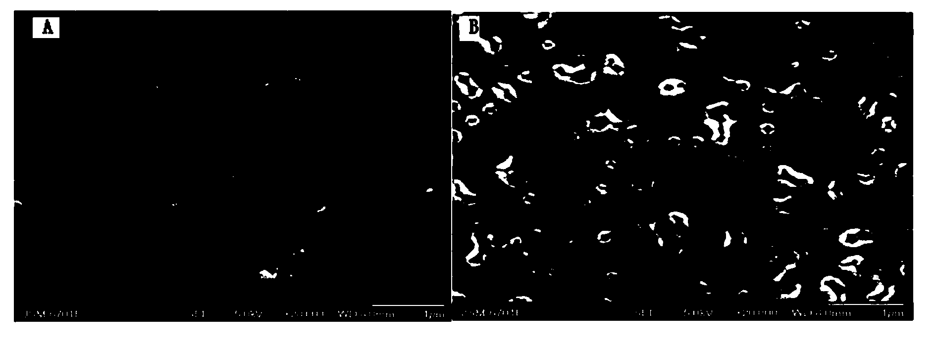 NT-BMPkE with bacteria resistance as well as preparation and application thereof