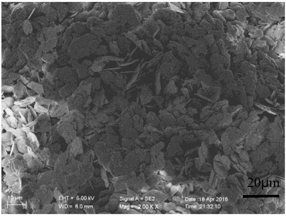 Blocky bionic material, method for manufacturing same and application of blocky bionic material