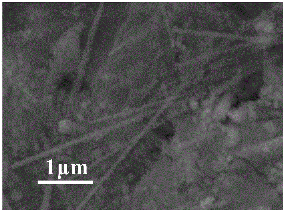 Bismuth nickelate nano-wire multifunctional paint