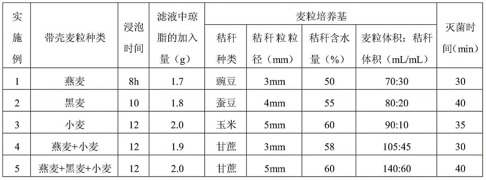 Phytophthora nicotianae culturing method