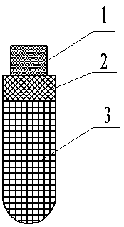 a dental implant