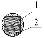 a dental implant