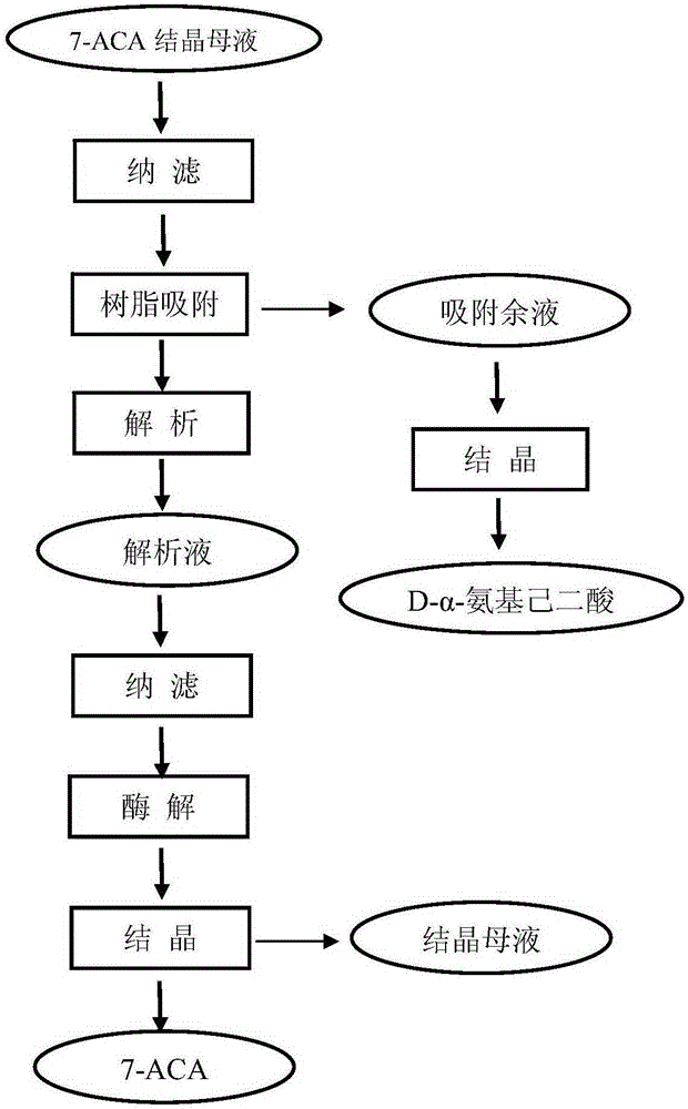 Comprehensive recovery method for effective ingredients in 7-amidogen cephalosporins alkanes acid crystallization mother liquor produced through enzymatic hydrolysis method