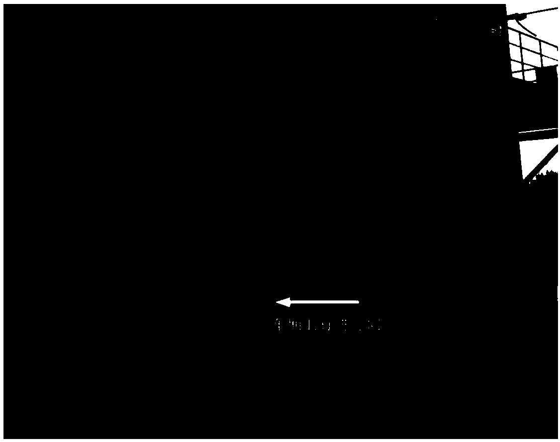 Train compartment cargo volume and bulk density detection method based on point cloud data processing