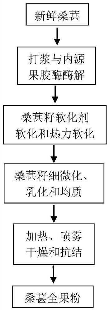 Preparation method of mulberry whole fruit powder