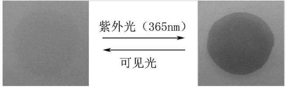 High-strength photosensitive hydrogel as well as preparation method and application thereof