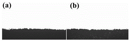 Wear-resistant super-hydrophobic super-lipophilic polyurethane sponge and preparation method and application thereof in oil-water continuous separation