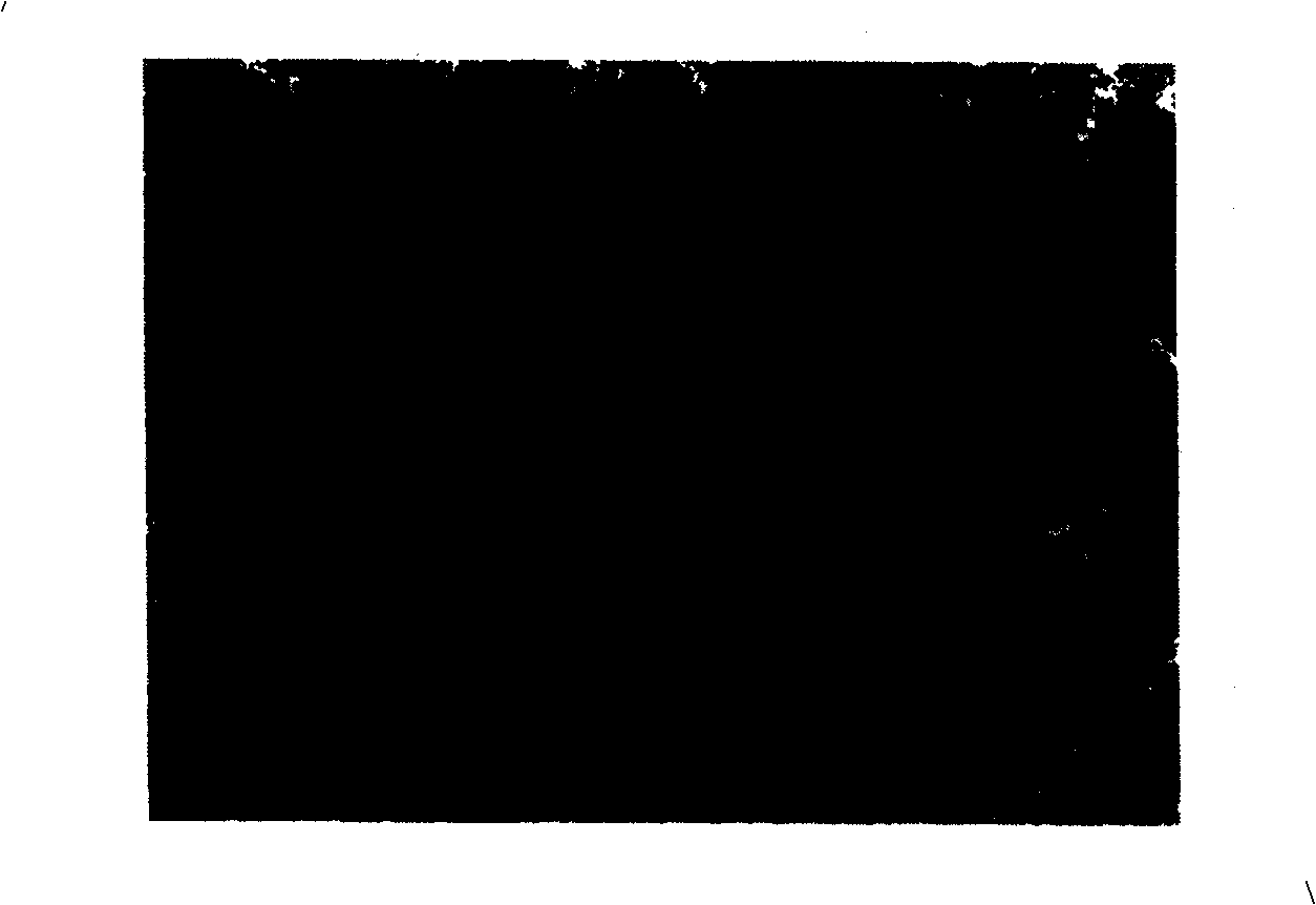 Method for synthetizing nano Ag-Ni alloy