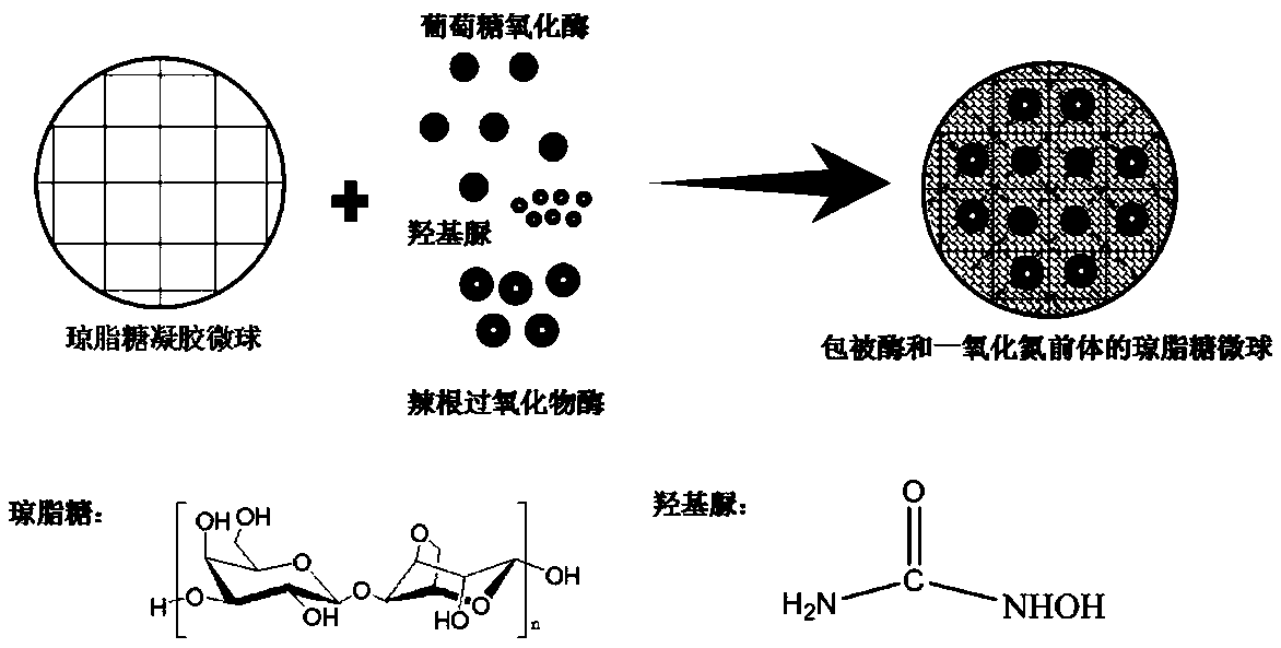 Composite agarose microsphere and preparation method and application thereof