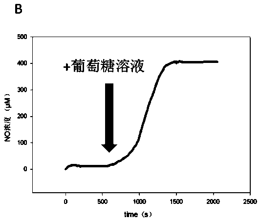 Composite agarose microsphere and preparation method and application thereof