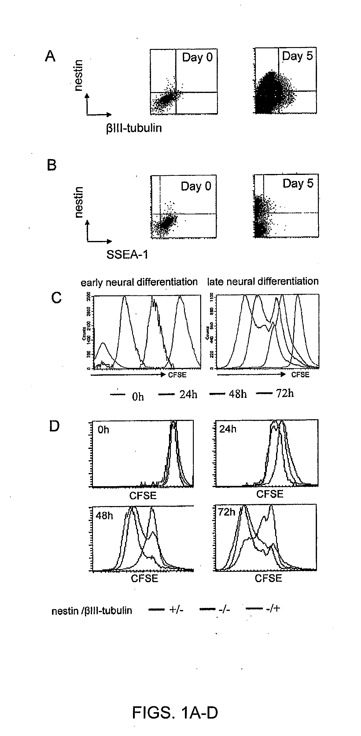 Selection of stem cell clones with defined differentiation capabilities