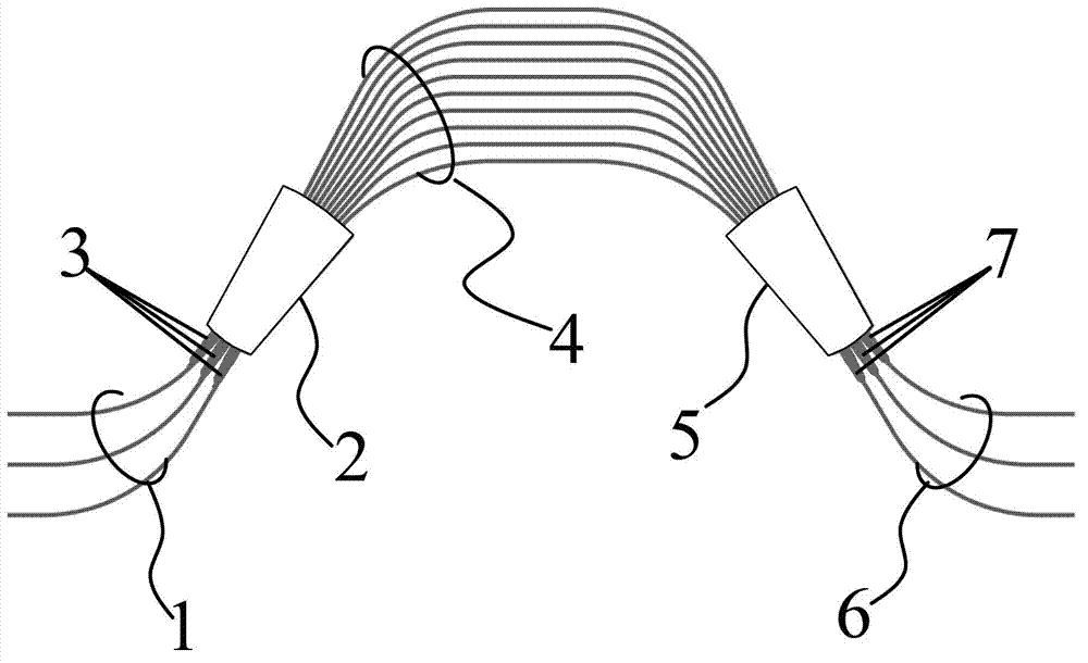 Polarization-insensitive array waveguide grating wavelength division multiplexing device