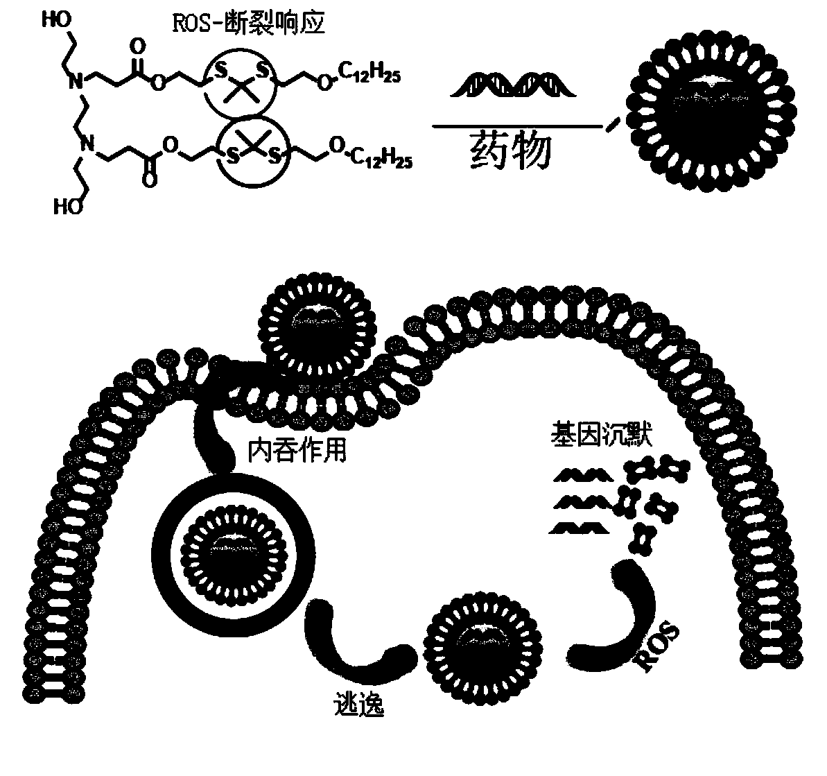 Nano-drug carrier and preparation method and application thereof