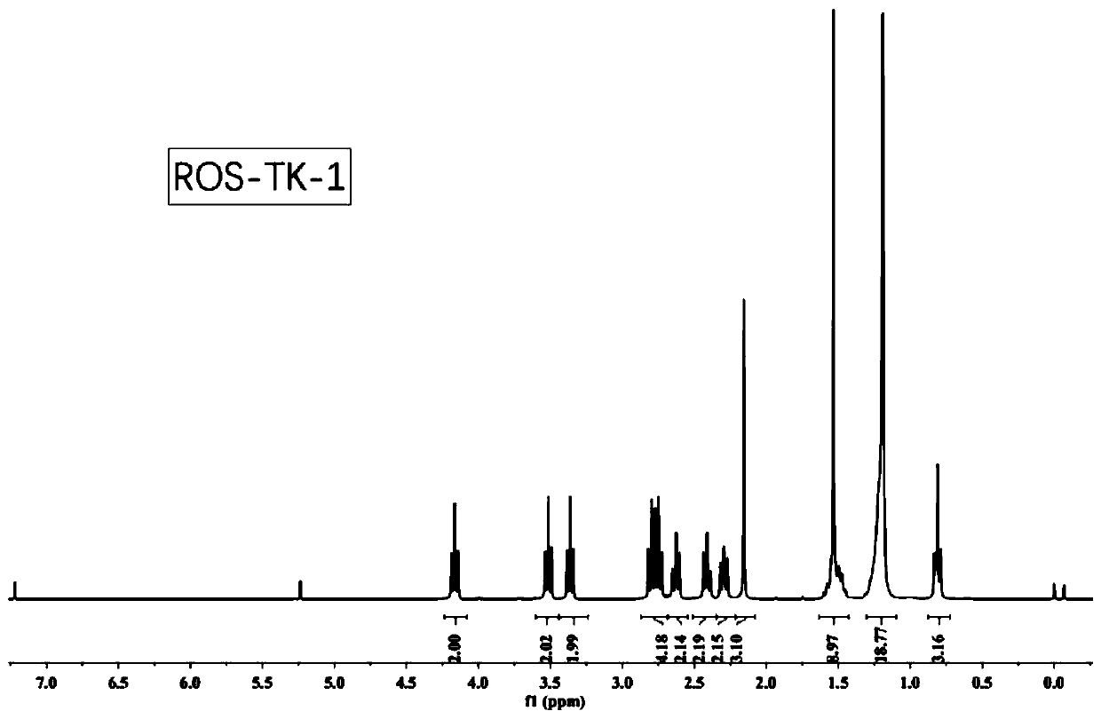 Nano-drug carrier and preparation method and application thereof