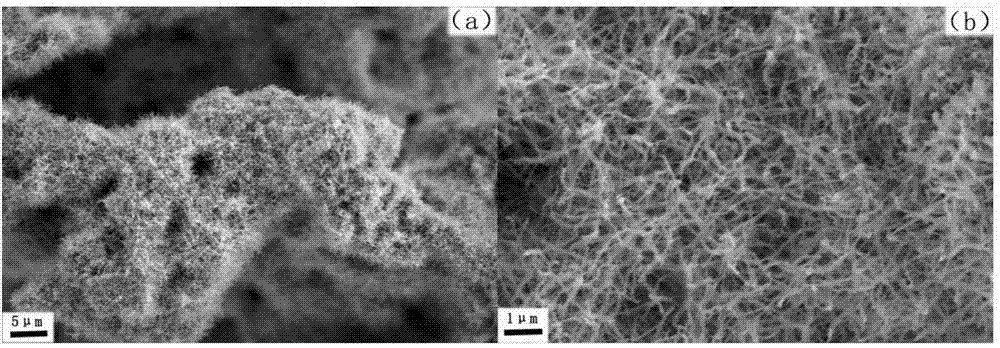 Synthesis method of tungsten nitride with high catalytic performance