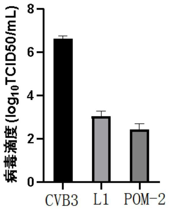 Application of iodo-hydrazide and iodo-hydrazide polyacid derivative in preparation of anti-CVB3 virus drugs