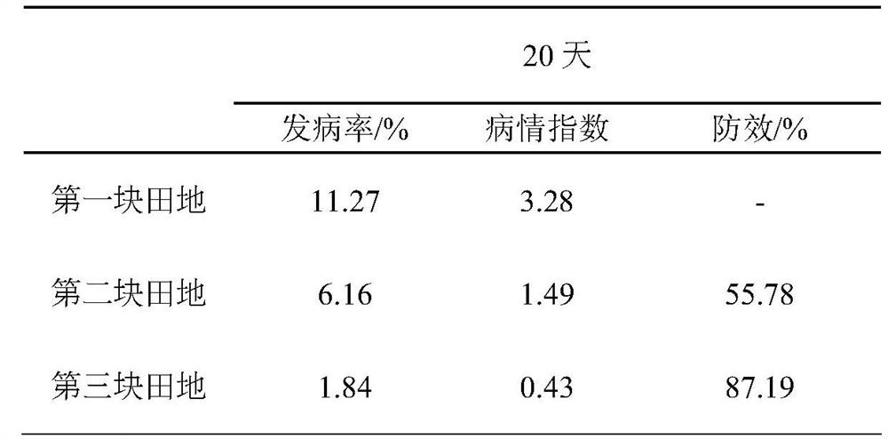 Wheat scab synergistic prevention and treatment method combining plant protection unmanned aerial vehicle with plant additive