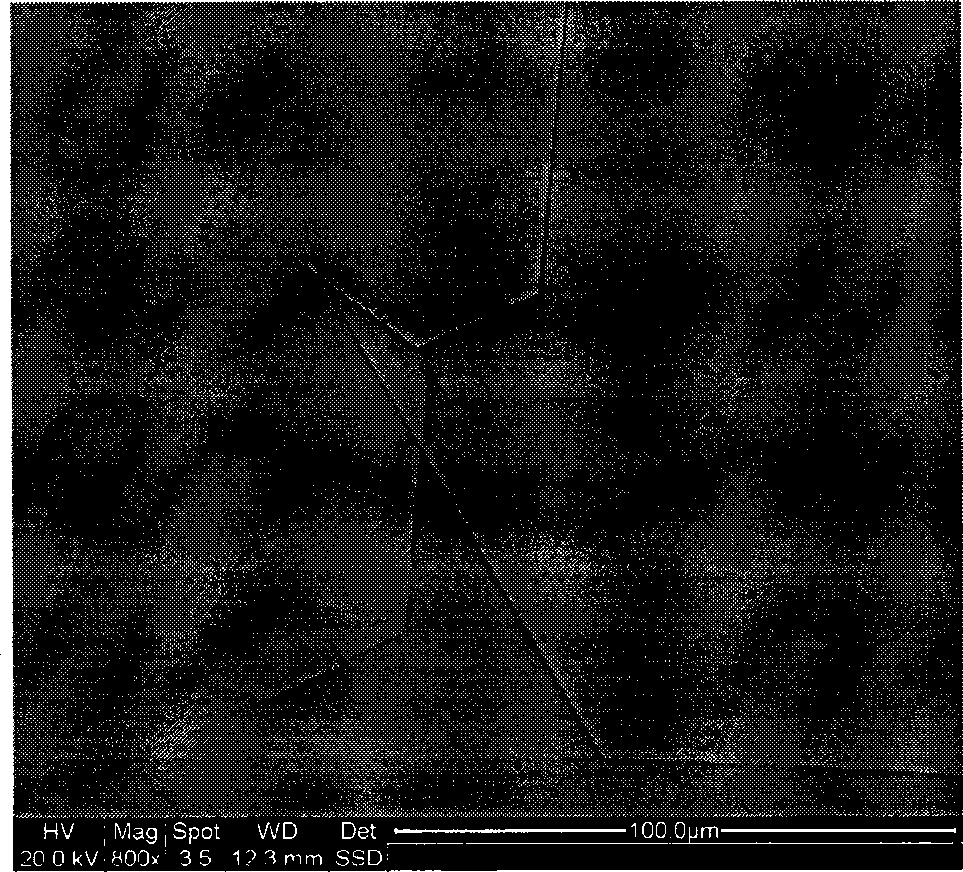 Method for preparing ZnO thick film