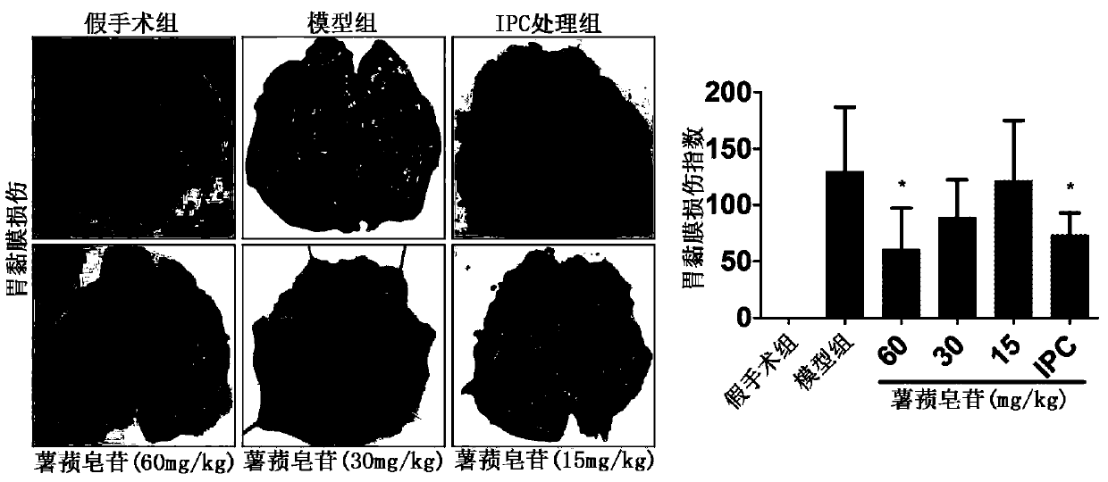 Application of diosgenin in preparation of medicine for protecting acute gastrointestinal injury