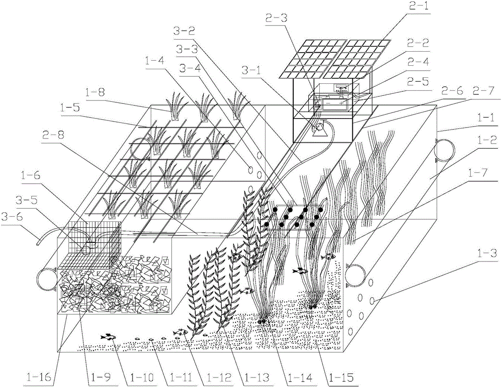 Water purification method based on artificial ecological system and water purification device based on artificial ecological system