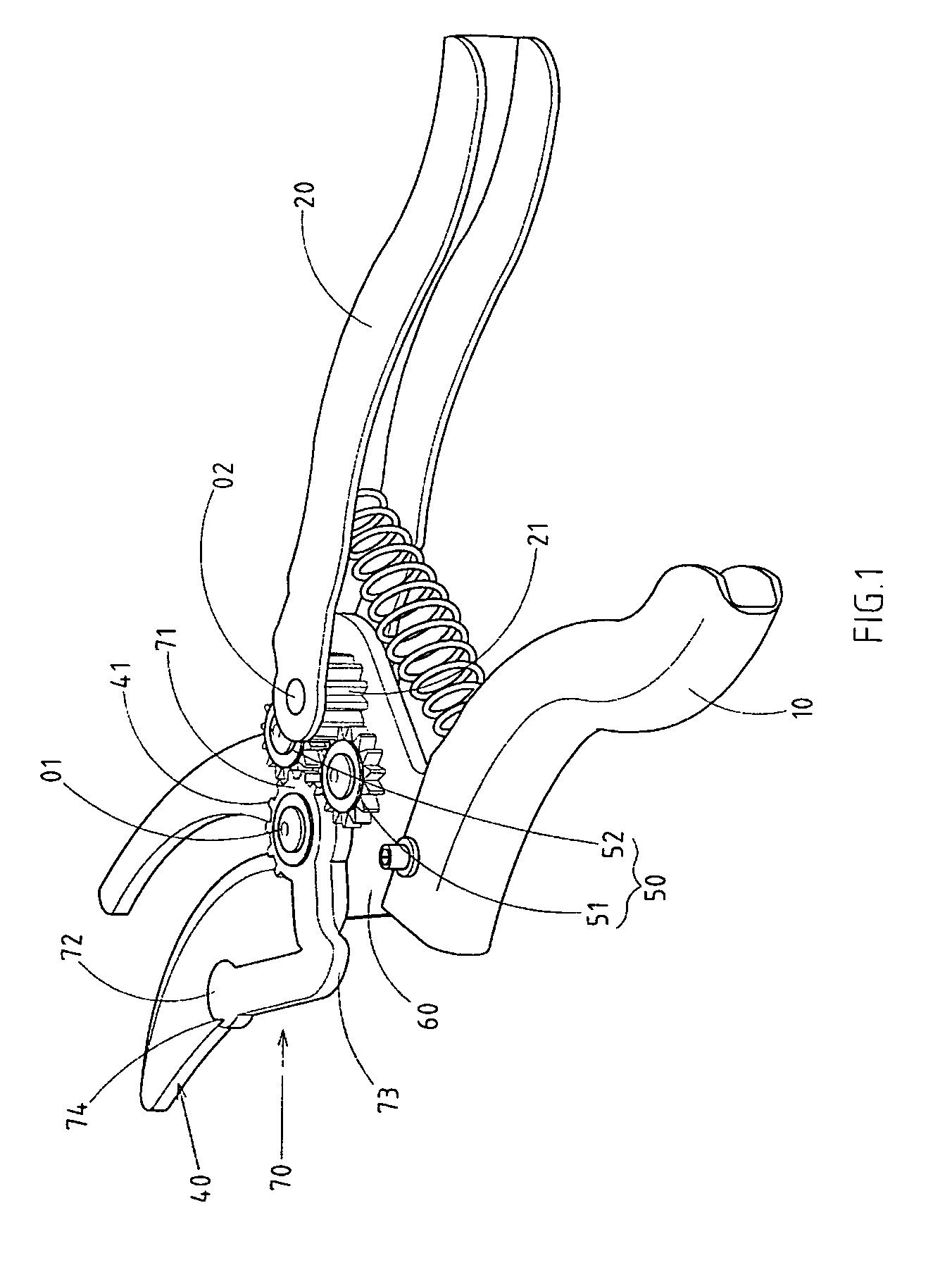 Gear-driven shears provided with a curved plate on a movable jaw