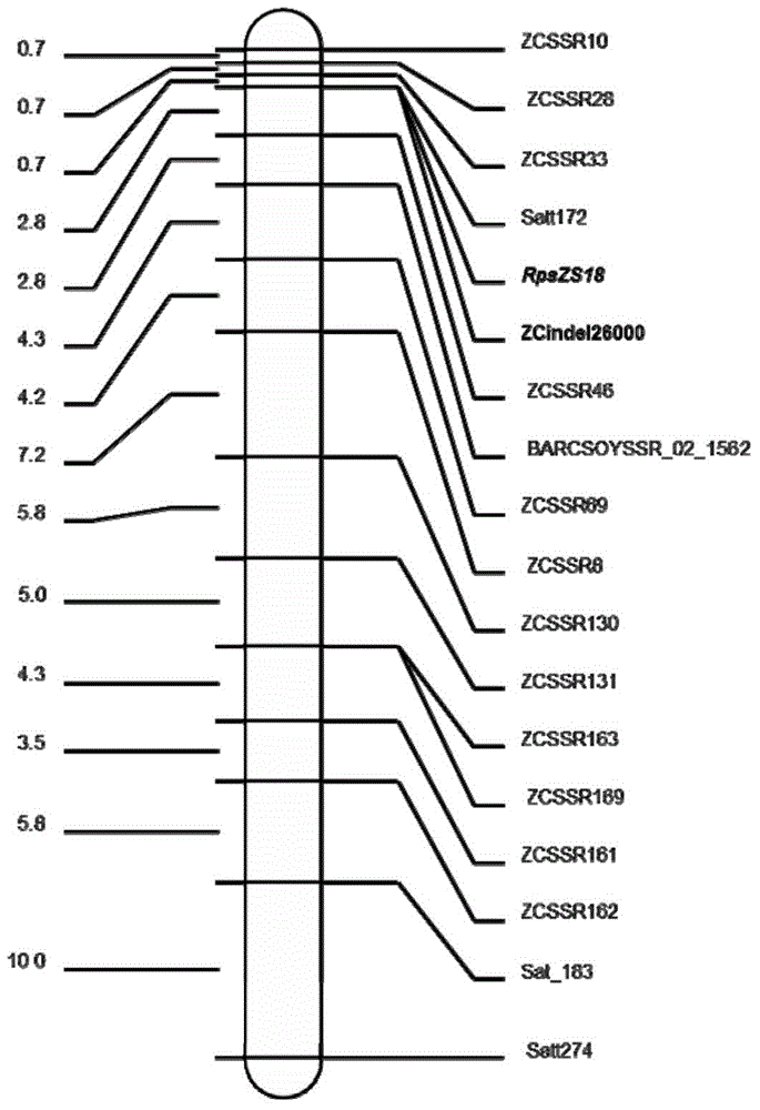 Molecular marker coseparated from soybean epidemic disease resisting gene RpsZS18, and application thereof