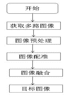 Fly-simulation visual online detection device and method for surface defects