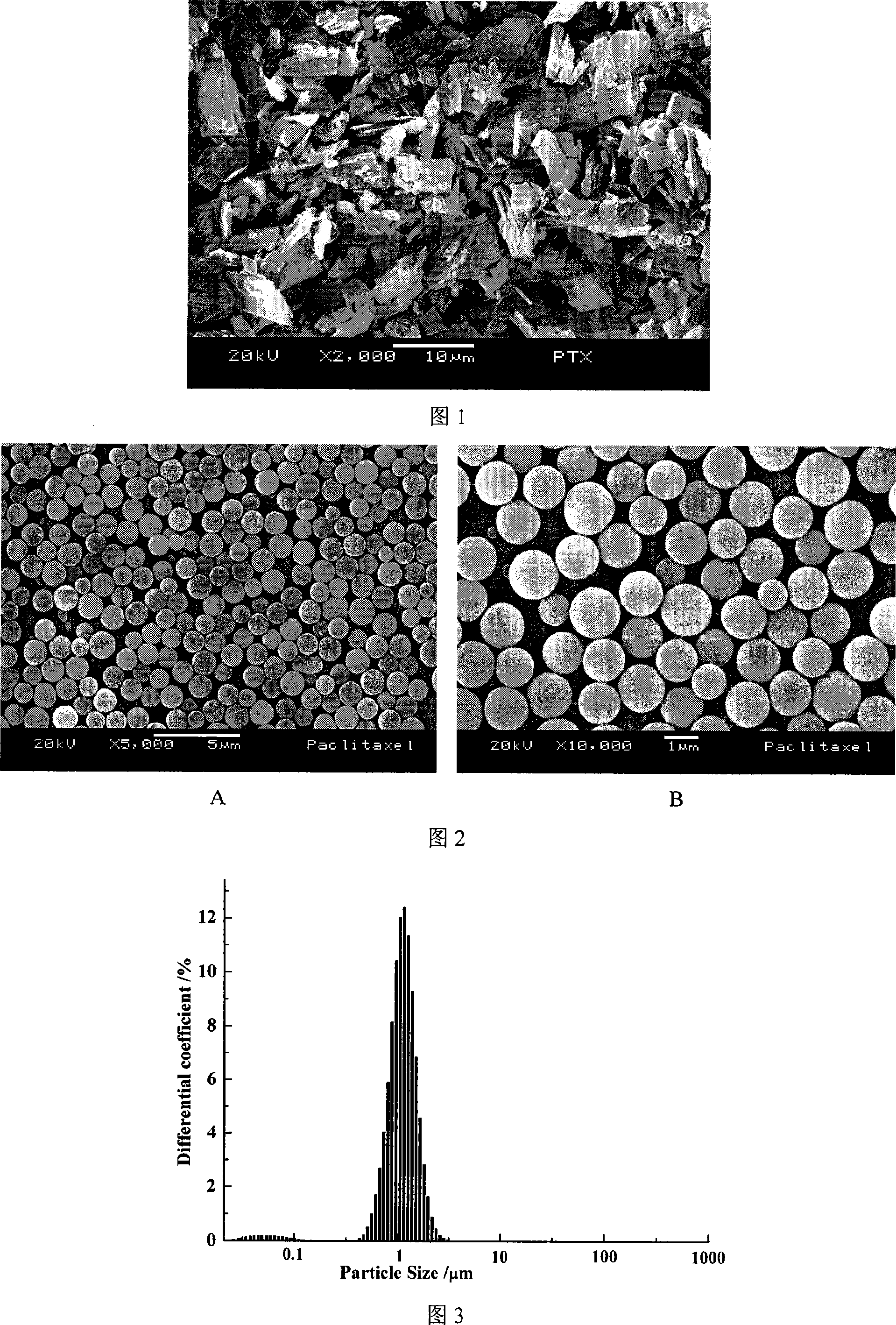 Minuteness anti-cancer medicine paclitaxel of novel technique supercritical fluid