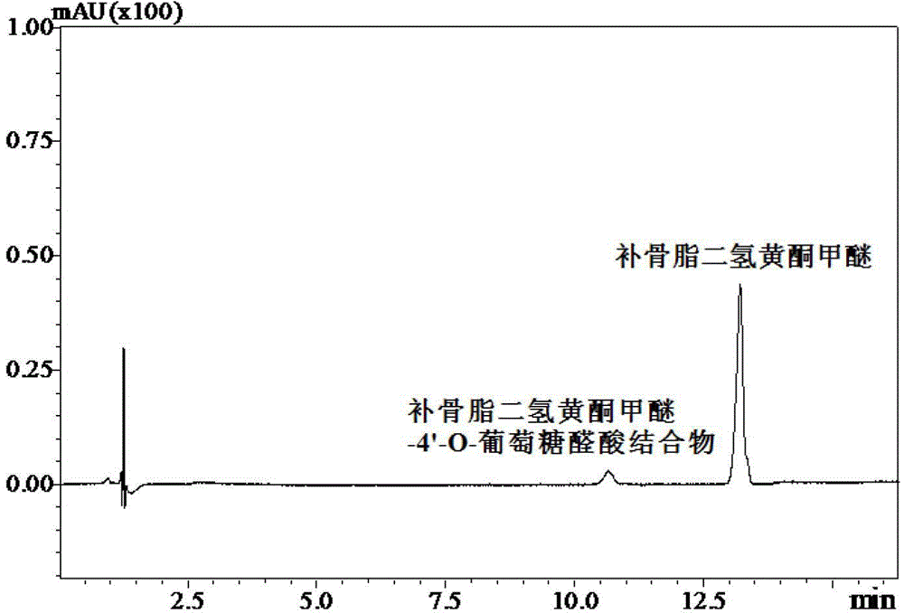 Specificity probe zymolyte of glucuronic acid transferase UGT1A1 and application