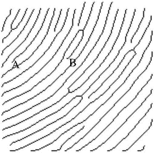 Fingerprint recognition method based on multiple reference nodes